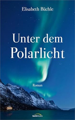 Beispielbild fr Unter dem Polarlicht: Roman. zum Verkauf von medimops