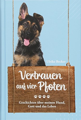 Imagen de archivo de Vertrauen auf vier Pfoten: Geschichten ber meinen Hund, Gott und das Leben. a la venta por medimops