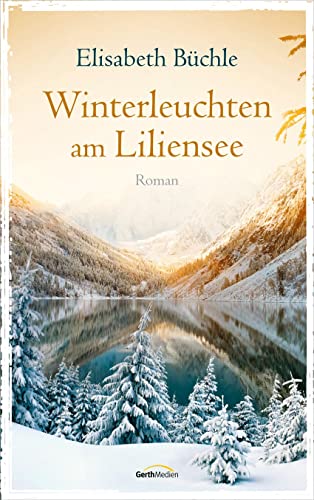 Beispielbild fr Winterleuchten am Liliensee: Roman zum Verkauf von medimops