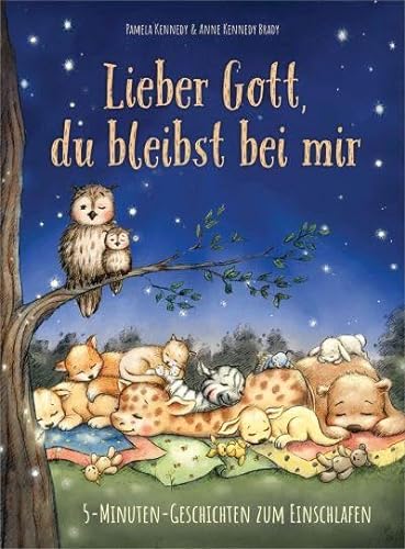 Stock image for Lieber Gott, du bleibst bei mir: 5-Minuten-Geschichten zum Einschlafen. for sale by Revaluation Books