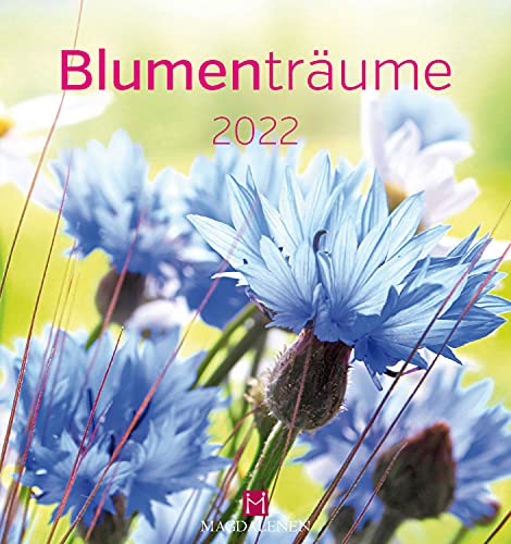 Beispielbild fr Blumentrume 2022 zum Verkauf von medimops