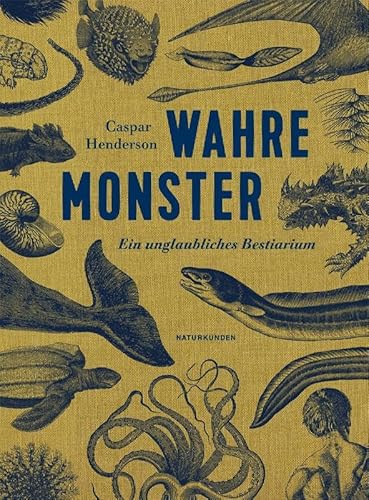 Beispielbild fr Wahre Monster: Ein unglaubliches Bestiarium zum Verkauf von medimops