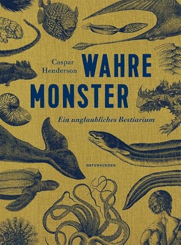 Stock image for Wahre Monster: Ein unglaubliches Bestiarium for sale by medimops