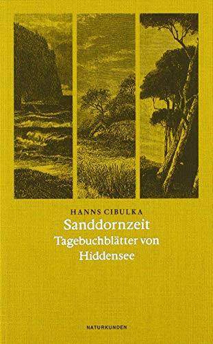 9783957578648: Sanddornzeit: Tagebuchbltter von Hiddensee: 64