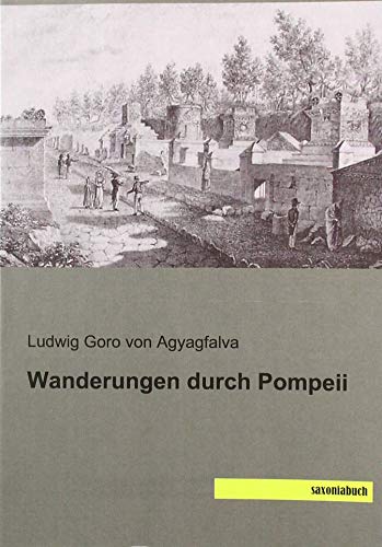 Stock image for Wanderungen durch Pompeii for sale by Revaluation Books