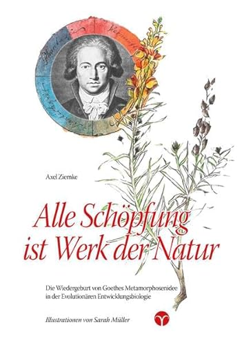 Stock image for Alle Schpfung ist Werk der Natur: Die Wiedergeburt von Goethes Metamorphosenidee in der Evolutionren Enticklungsbiologie for sale by Revaluation Books