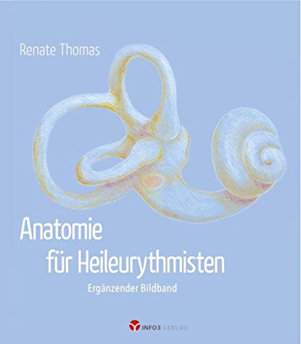 Beispielbild fr Anatomie fr Heileurythmisten zum Verkauf von Blackwell's