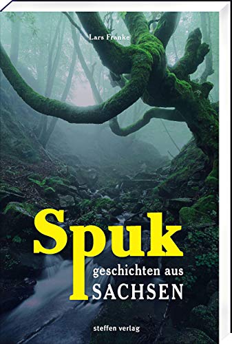 Stock image for Spukgeschichten aus Sachsen for sale by medimops