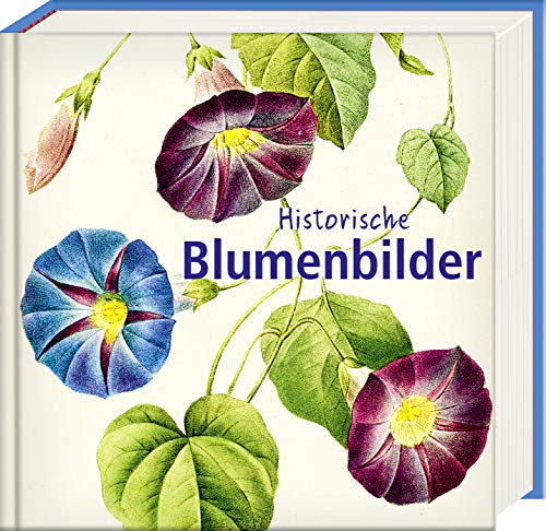 Imagen de archivo de Historische Blumenbilder -Language: german a la venta por GreatBookPrices