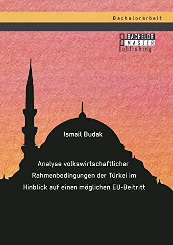 9783958202481: Analyse volkswirtschaftlicher Rahmenbedingungen der Trkei im Hinblick auf einen mglichen Eu-Beitritt