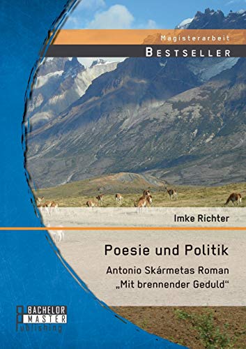 9783958203471: Poesie und Politik: Antonio Skrmetas Roman „Mit brennender Geduld“
