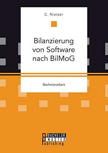 9783958204089: Bilanzierung von Software nach BilMoG (German Edition)