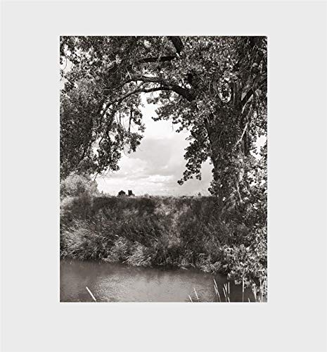Stock image for Robert Adams - Cottonwoods for sale by Blackwell's