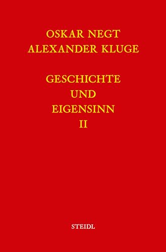 Stock image for Werkausgabe Bd. 6.2 / Geschichte und Eigensinn II: Deutschland als Produktionsffentlichkeit for sale by medimops