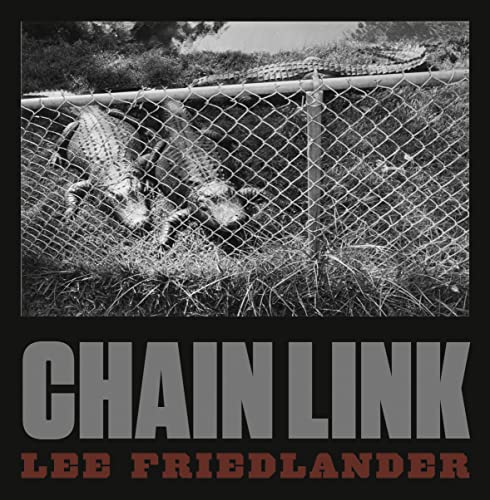 9783958292598: Lee Friedlander: Chain Link