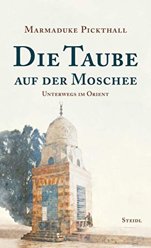 Imagen de archivo de Die Taube auf der Moschee: Unterwegs im Orient a la venta por medimops