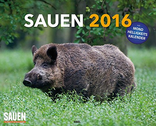 9783958430730: Sauen 2016 XXL-Posterkalender: mit Mond-Helligkeitskalender