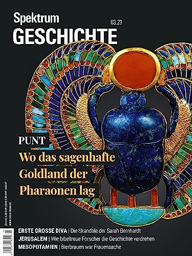 Stock image for Spektrum Geschichte - Punt for sale by GreatBookPrices