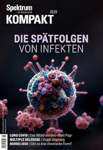 Stock image for Spektrum Kompakt - Die Sptfolgen von Infekten for sale by GreatBookPrices