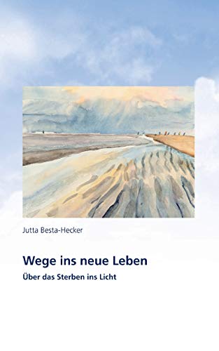 Stock image for Wege ins neue Leben: ber das Sterben ins Licht for sale by medimops