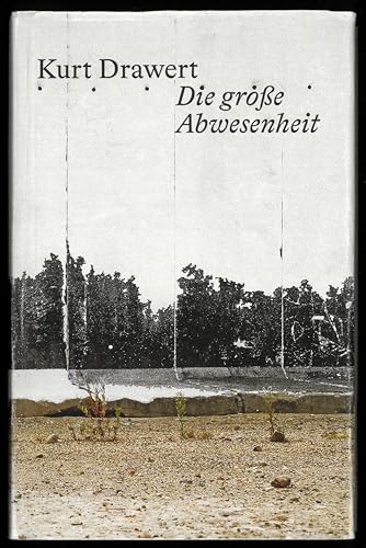 Stock image for Die groe Abwesenheit: Essays, Reden, Figuren der Literatur for sale by medimops