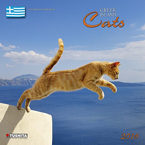 Beispielbild fr Greek Island Cats 2023: Kalender 2023 (Wonderful World) zum Verkauf von medimops