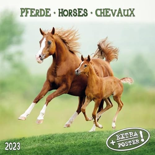 Beispielbild fr Horses/Pferde 2023: Kalender 2023 (Artwork Edition) zum Verkauf von medimops