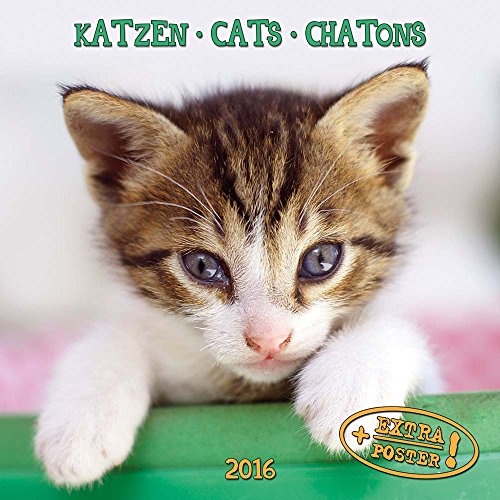 Beispielbild fr Cats/Katzen 2023: Kalender 2023 (Artwork Edition) zum Verkauf von medimops