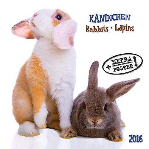 Beispielbild fr Rabbits/Kaninchen 2023: Kalender 2023 (Artwork Edition) zum Verkauf von medimops