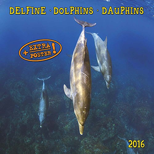 Beispielbild fr Dolphins/Delfine 2023: Kalender 2023 (Artwork Edition) zum Verkauf von medimops