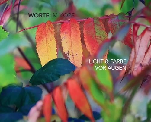Stock image for Worte im Kopf - Licht and Farbe vor Augen for sale by PBShop.store US