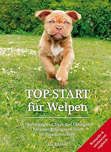 Beispielbild fr TOP-START fr Welpen: Die wichtigsten Tipps und bungen fr einen gelungenen Start ins Zusammenleben zum Verkauf von medimops