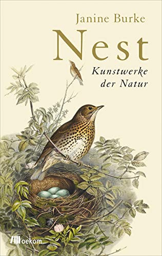Imagen de archivo de Nest: Kunstwerke der Natur a la venta por medimops