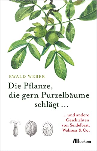 Stock image for Die Pflanze, die gern Purzelbume schlgt ?: ?und andere Geschichten von Seidelbast, Walnuss & Co. for sale by medimops