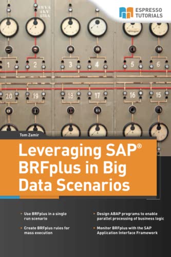 Beispielbild fr Leveraging SAP BRFplus in Big Data Scenarios zum Verkauf von California Books