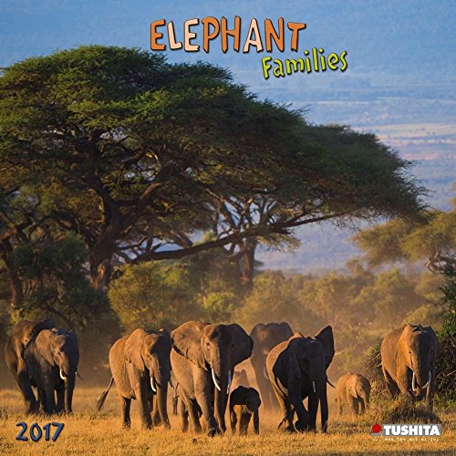 Beispielbild fr Elephant Families 2017 (Wonderful World) zum Verkauf von WYEMART LIMITED