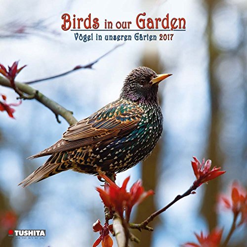 Stock image for Birds in Our Garden 2017 (Wonderful World) for sale by WYEMART LIMITED