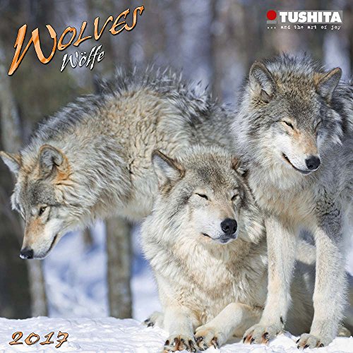 Stock image for Wolves 2017 (Mini) for sale by Hay-on-Wye Booksellers