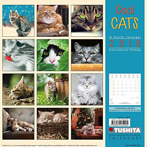 Beispielbild fr Cool Cats 2018 zum Verkauf von Revaluation Books