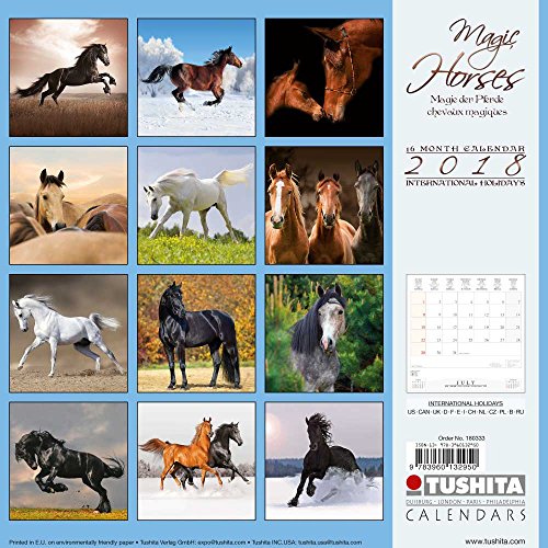 9783960132950: Magic Horses 2018 (Wonderful World)