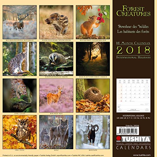 Stock image for Forest Creatures 2018 for sale by Revaluation Books