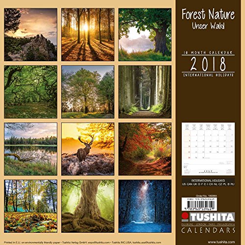 9783960134619: Forest Nature 2018 (Wonderful World)