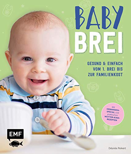 Imagen de archivo de Babybrei - Gesund & einfach vom 1. Brei bis zur Familienkost -Language: german a la venta por GreatBookPrices