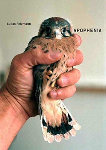 Stock image for Lukas Felzmann: Apophenia (English and German Edition) for sale by Zubal-Books, Since 1961