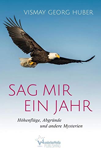 Beispielbild fr Sag mir ein Jahr: Hhenflge, Abgrnde und andere Mysterien zum Verkauf von medimops