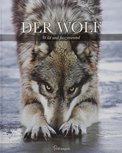 Beispielbild fr Der Wolf: Wild und faszinierend zum Verkauf von medimops