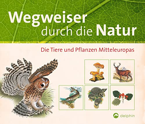 Stock image for Wegweiser durch die Natur: Die Tiere und Pflanzen Mitteleuropas for sale by medimops