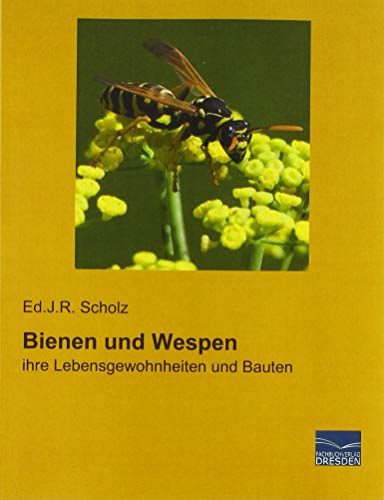 Stock image for Bienen und Wespen: ihre Lebensgewohnheiten und Bauten (German Edition) for sale by BuchZeichen-Versandhandel