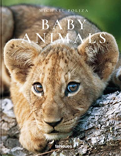 Beispielbild fr baby animals zum Verkauf von Chapitre.com : livres et presse ancienne