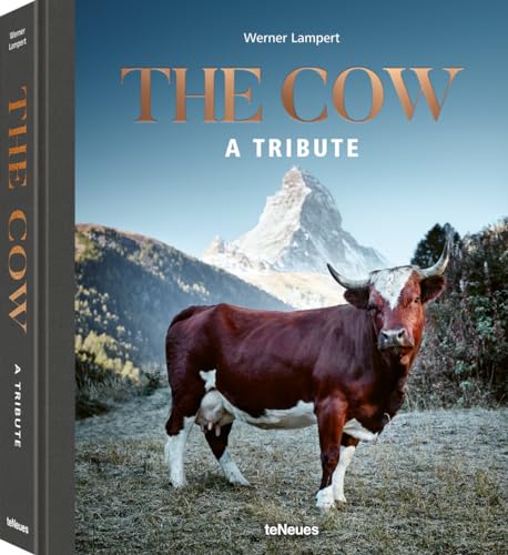9783961711840: The cow. A tribute. Ediz. illustrata